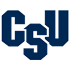 Charleston Southern Buccaneers.png logo